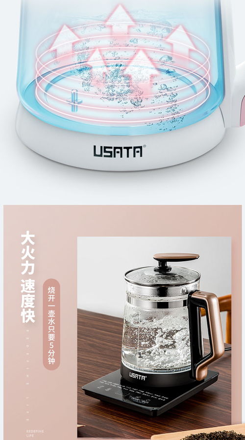 汽车烧水壶功率多少