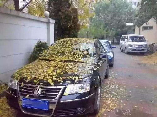 汽车车上承重多少