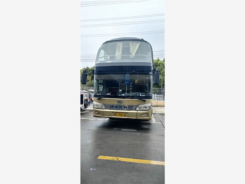 樟树有多少大汽车