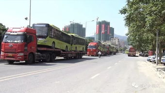 樟树有多少大汽车