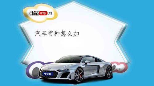 汽车加雪种多少 钱